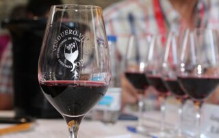 Un vino de Tierra de Barros, medalla de plata en los premios VinDuero 2018